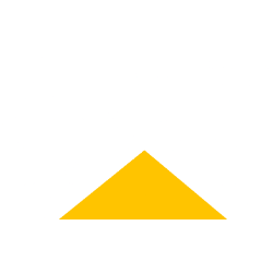 CAT logo