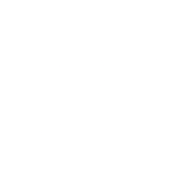 CVE logo