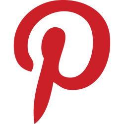 PINS logo