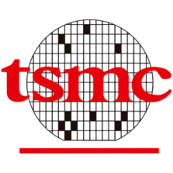 TSM logo