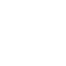 VFC logo