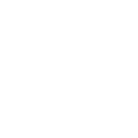 ZIM logo