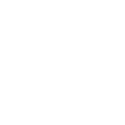 Z logo